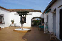 2016-02-03 13.07.57.jpg (87182 Byte)