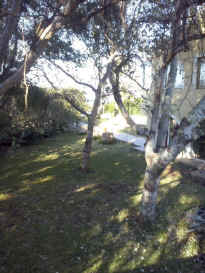 wohnung 016.jpg (104724 Byte)