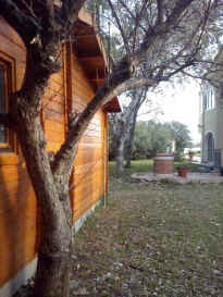 wohnung 039.jpg (114674 Byte)