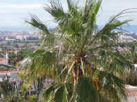 Ferienhaus Denia Casa Pepa bei Deniaferien.com