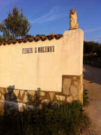 IMG_A3883.JPG (335703 Byte)