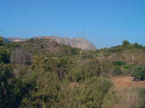 IMG_A.jpg (632883 Byte)