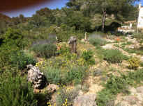 IMG_4945.JPG (4815403 Byte)