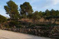 P1030286.JPG (4683762 Byte)